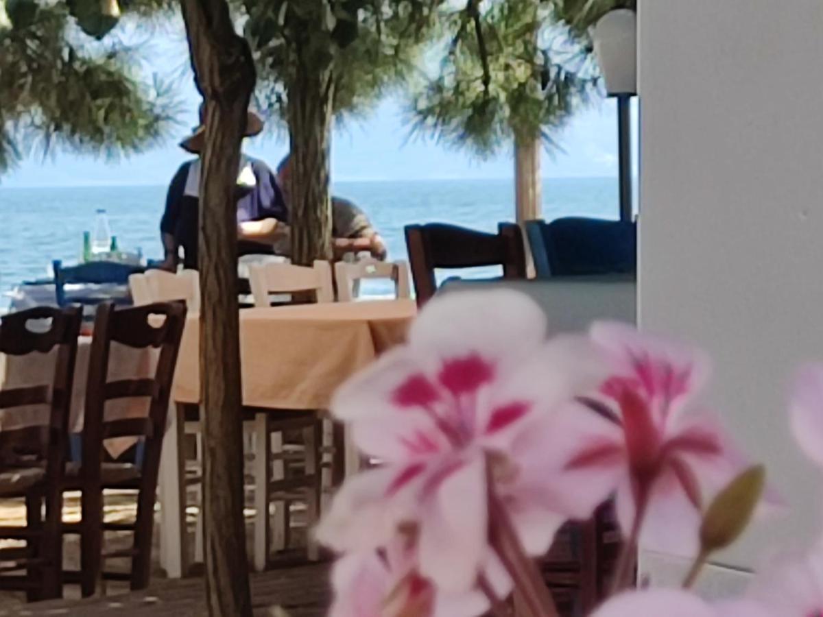 Villa Look To The Sea Nea Karvali Extérieur photo